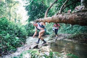 BIB: 
                            <button type="button" onclick="openModal(25433635)" class="btn btn-primary btn-sm float-right btn-popup" data-toggle="modal" data-target=".modal-high-quality">
                        <i class="fas fa-shopping-cart"></i> Add to Cart
                    </button>
                                            <button type="button" onclick="isThisMe(25433635, true)" class="btn btn-success btn-sm float-right btn-popup btn-isme hidden" data-toggle="tooltip" data-placement="bottom" title="นี่คือรูปของคุณใช่ไหม คลิกที่นี่เพื่อเอาเข้าอัลบั้ม">
                        <i class="fas fa-plus"></i> Add to album
                    </button>
                    <button type="button" onclick="isThisMe(25433635, false)" class="btn btn-warning btn-sm float-right btn-popup btn-isnotme hidden">
                        <i class="fas fa-ban"></i> Remove from album
                    </button>